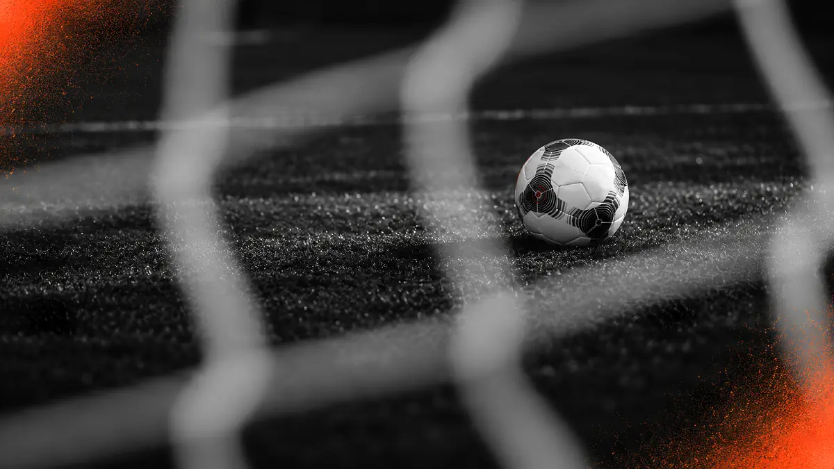 A ball on the pitch, seen through the net